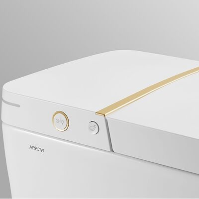 Arrow Automatic Operation Soft Close Smart Toilet with Concealed Tank Intelligent Modern Toilet