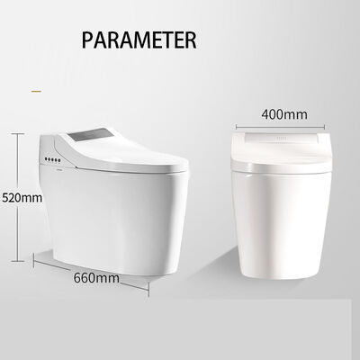 ARROW Smart Toilet with Heated Seat Siphon Jet Flushing and Self-cleaning Glaze One Piece Automatic Bidet
