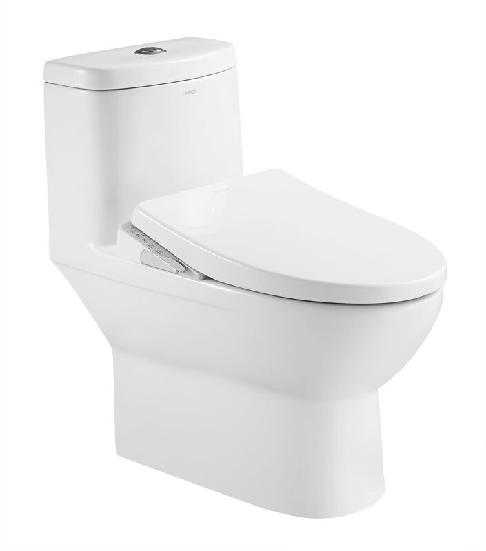 Arrow Remote Control Smart Toilet with Concealed Tank and 2-Year Warranty Modern One Piece Ceramic Toilet